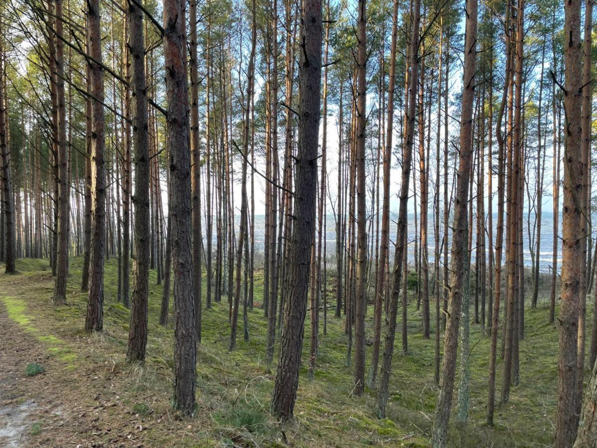 Wygodny Eko Domek Kolo Nadmorskiego Parku Krajobrazowego Karwienskie Bloto Drugie Exterior foto
